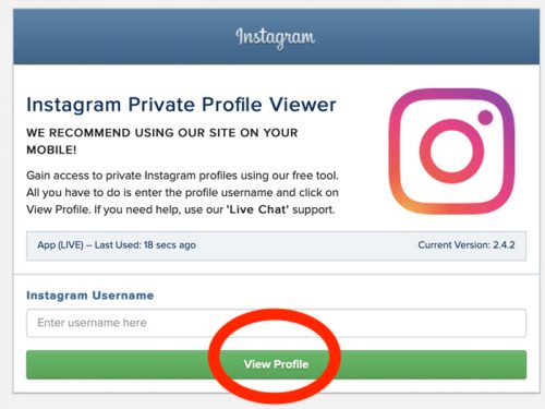 Private Instagram Viewer Online